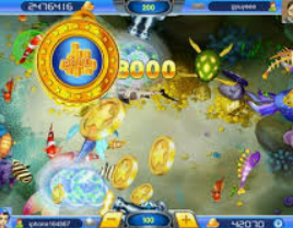 333体育官网下载正式版