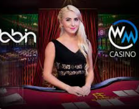 333体育官网下载免费版